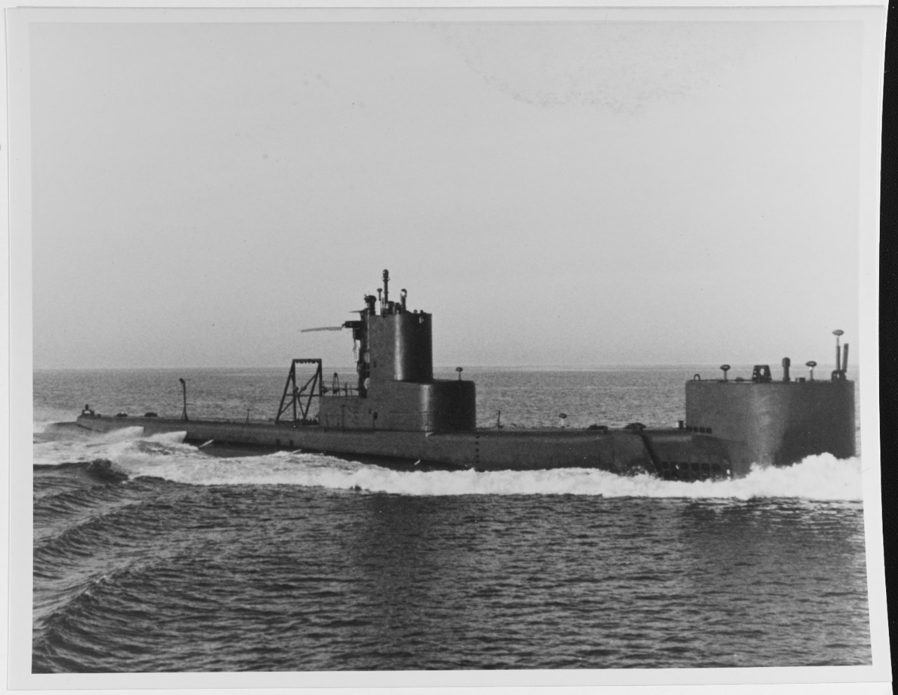 USS TIGRONE (AGSS-419)