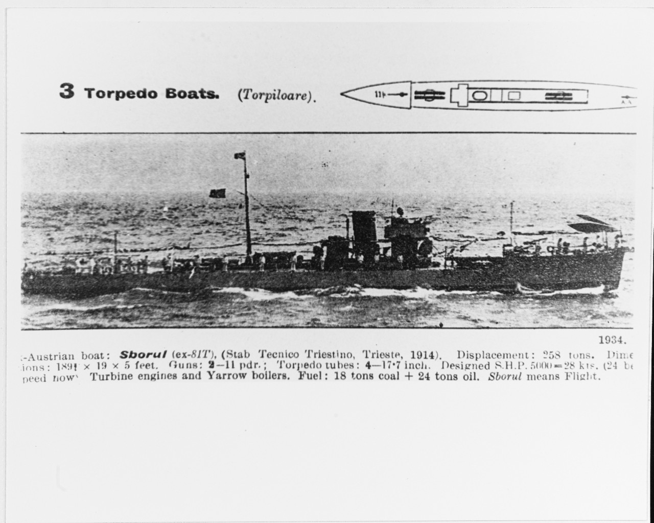 SBORUL (Roumanian Torpedo Boat, 1914-circa 1945)