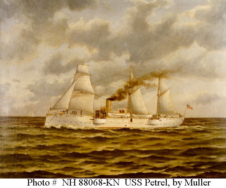 Photo #: NH 88068-KN (Color)  USS Petrel (PG-2)
