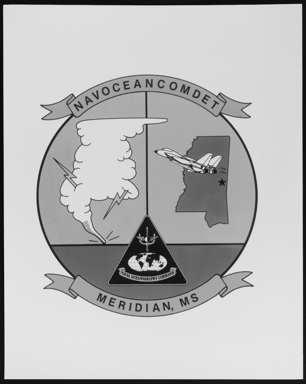Official activity insignia