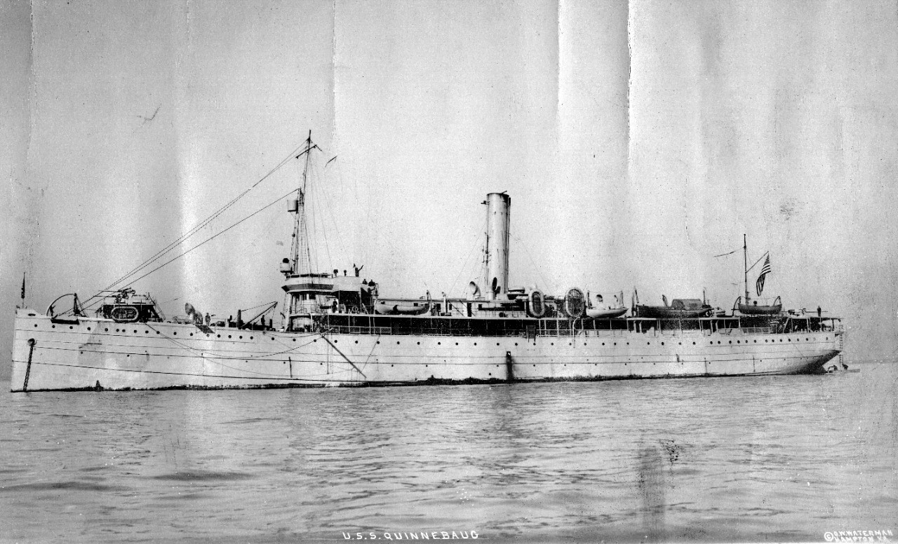 Photo #: NH 98371 USS Quinnebaug (ID # 1687), photographed circa early 1919 by O.W. Waterman, Hampton, Virginia.