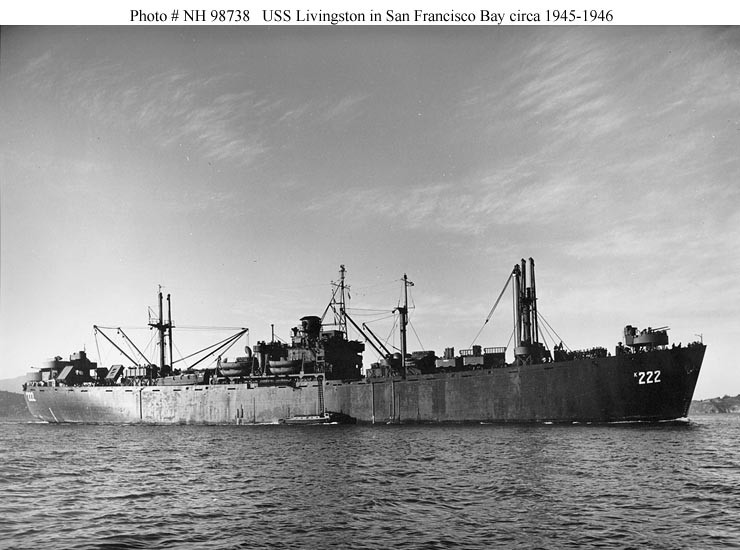 Photo #: NH 98738  USS Livingston
