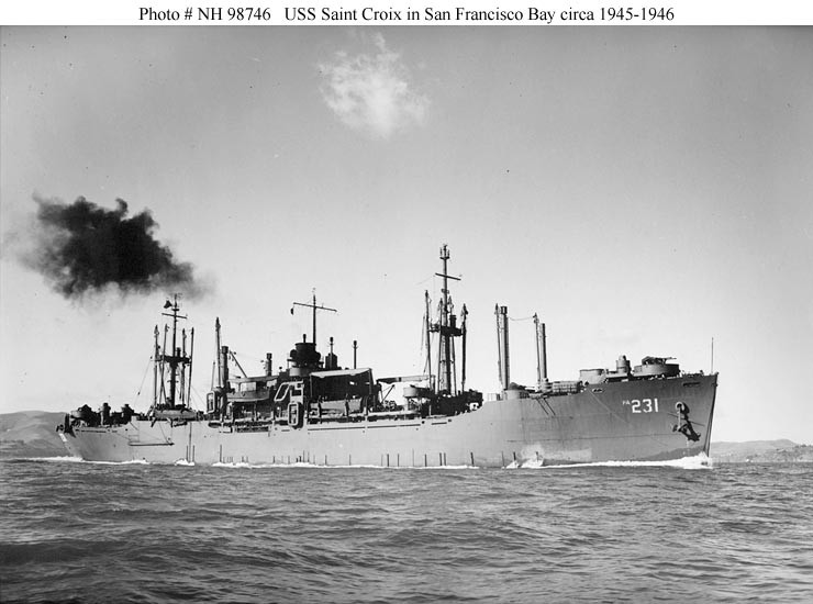 Photo #: NH 98746  USS Saint Croix