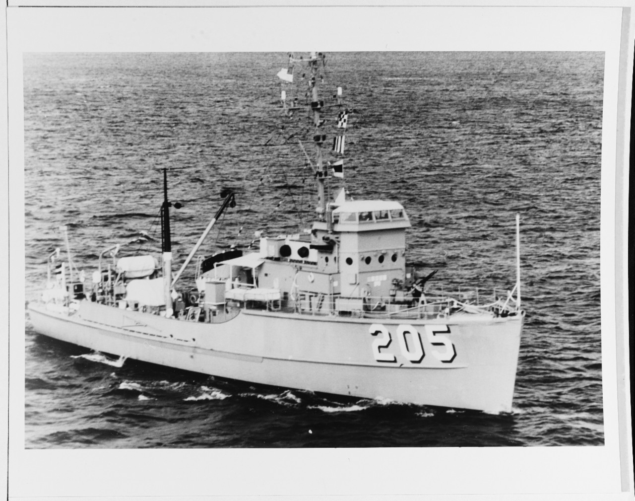 USS VIREO (MSC-205)