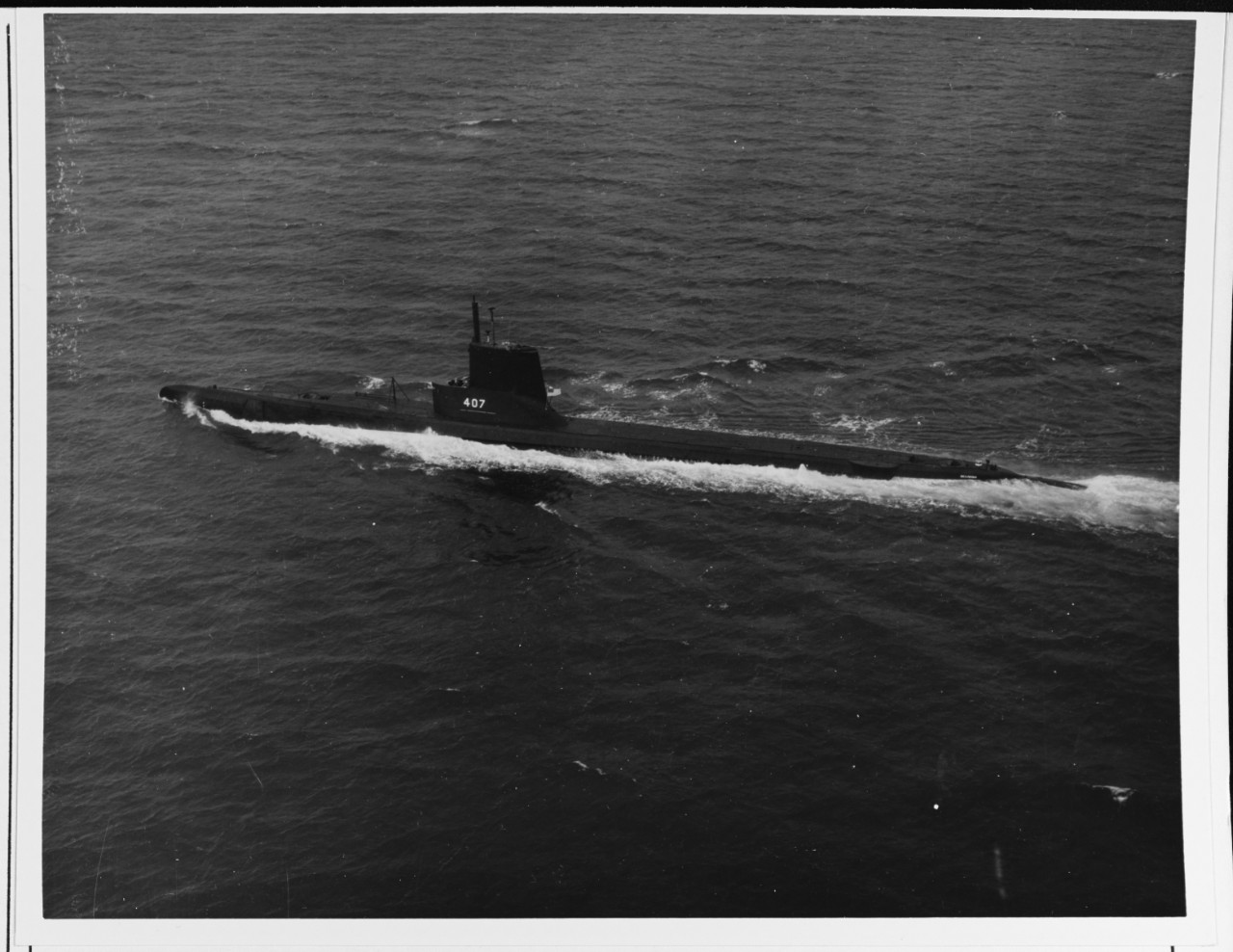 USS SEA ROBIN (SS-407)