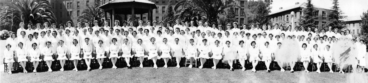 Oversize panoramic of the Nurse Corps, U.S. Naval Hospital, Mare Island, CA, July 31, 1943. The donor, Marion Challenger is likely in the photo. 
