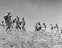 Photo #: NH 62565  Inspection Party on Mount Suribachi, Iwo Jima, March 1945