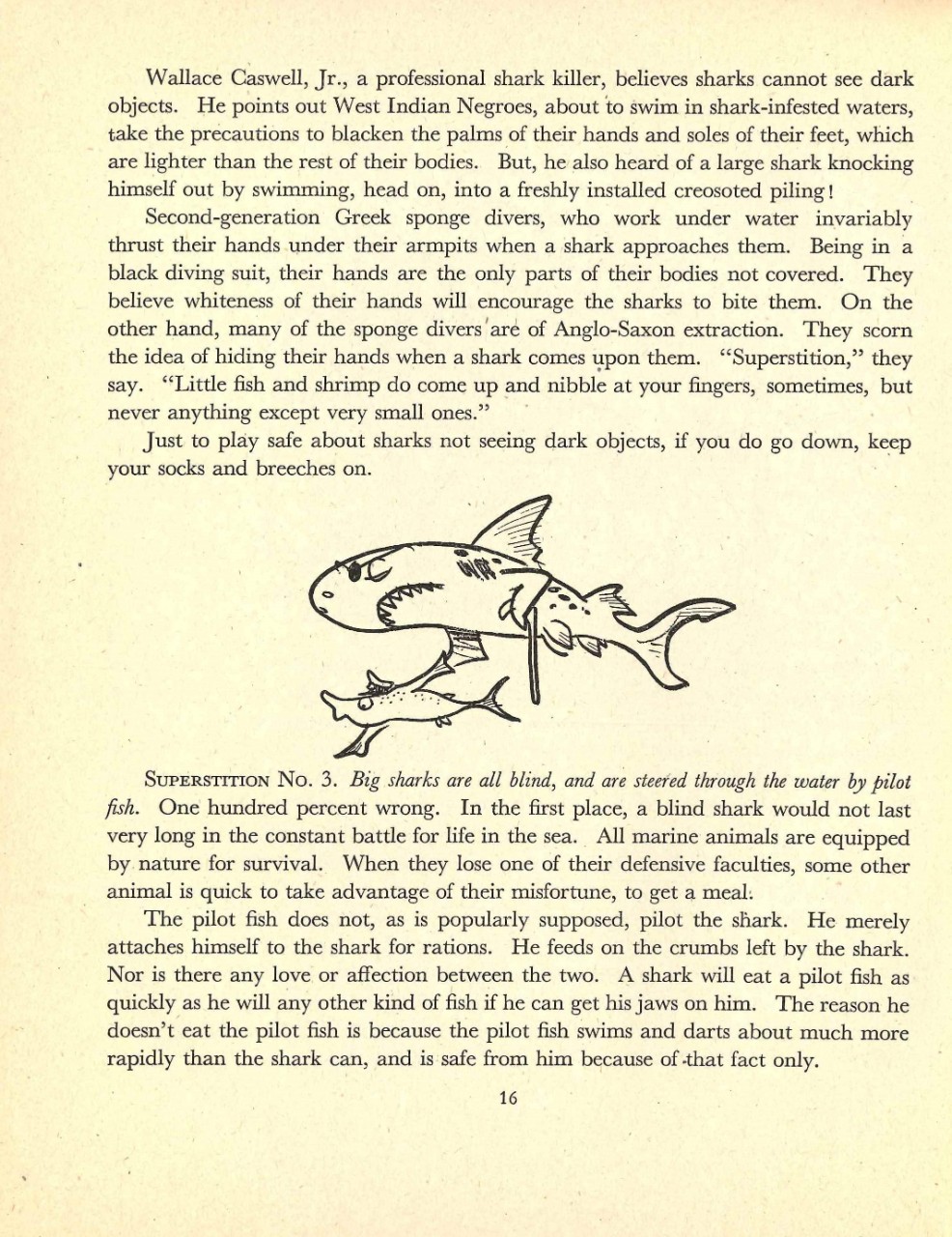 Shark Sense 1944 Page 16