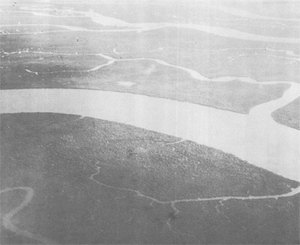 Image of Delta Area Mangrove Swamps to Northward between Saigon and Vung Tau. This is the general area to which JUNK DIVISION 33 moved in 1963