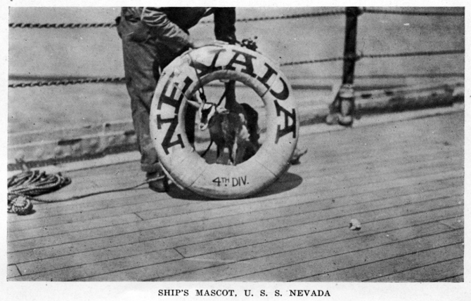 Halftone reproduction of a photograph of the ship's mascot goat, posed in a life ring. It was published circa 1919 as one of ten images in a souvenir folder concerning Nevada. Donation of Dr. Mark Kulikowski, 2007. (Naval History and Heritage Command Photograph NH 104609)