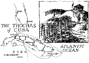 The Trochas of Cuba. The Spanish used lines of defensive barriers known as trochas to restrict the movement of Cuban insurgents. Pen and ink drawing by John Charles Roach.