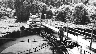 Sedimentation Tank in Operation in the Admiralties.