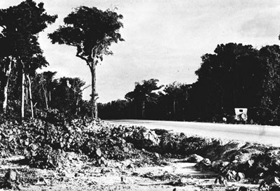 Jungle Road on Calicoan Island. 