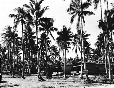 Samar Camp of the 100th Seabees, November 1945. 