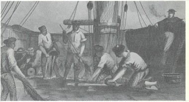 Cleaning deck