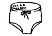 Image of a pair of swim trunks