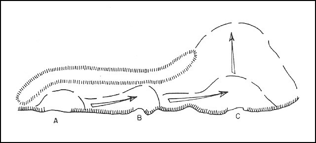 Fig. 8: Diagram of scheme of maneuver.
