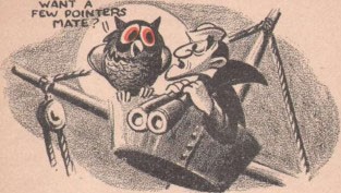 Cartoonish image of a sailor with binoculars and an owl in a crow's nest - the owl is asking - want a few pointers mate?