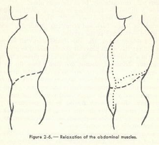 Diagram of Figure 2-6. - Relaxation of the abdominal muscles.