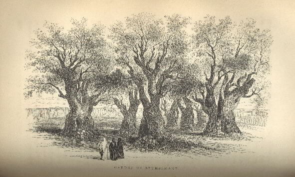 Image of plate "Garden of Gethsemane."
