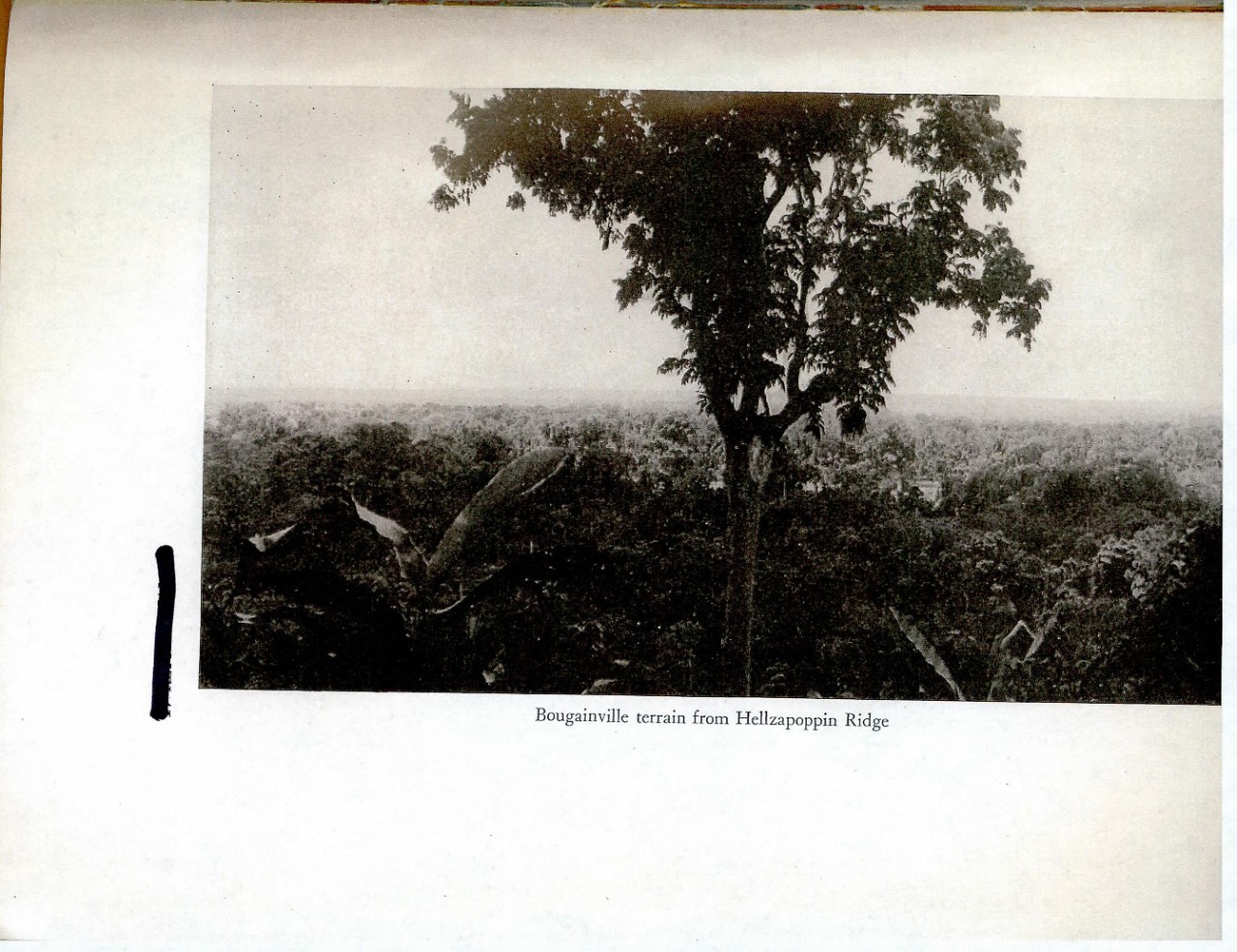 Bougainville terrain from Hellzapoppin Ridge