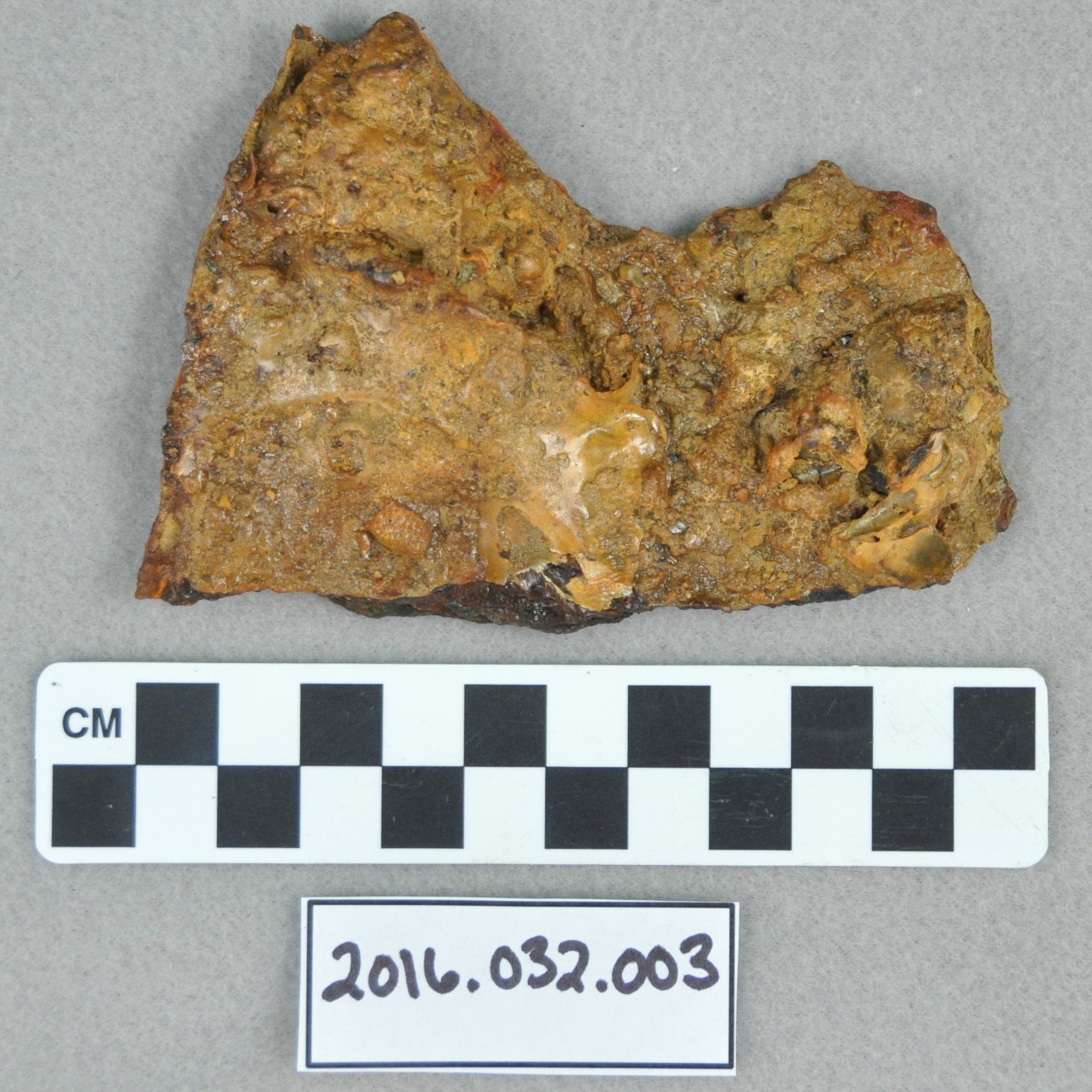 <p>A hard flat conglomerate of sea shells, sand, and red iron corrosion that formed on the USS <i>Houston</i>’s hull.</p>
