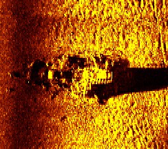 Figure 3: This side-scan sonar record shows what little remains of the Tide.